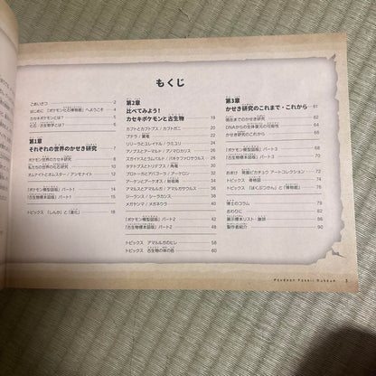 Pokémon Fossil Museum Pamphlet