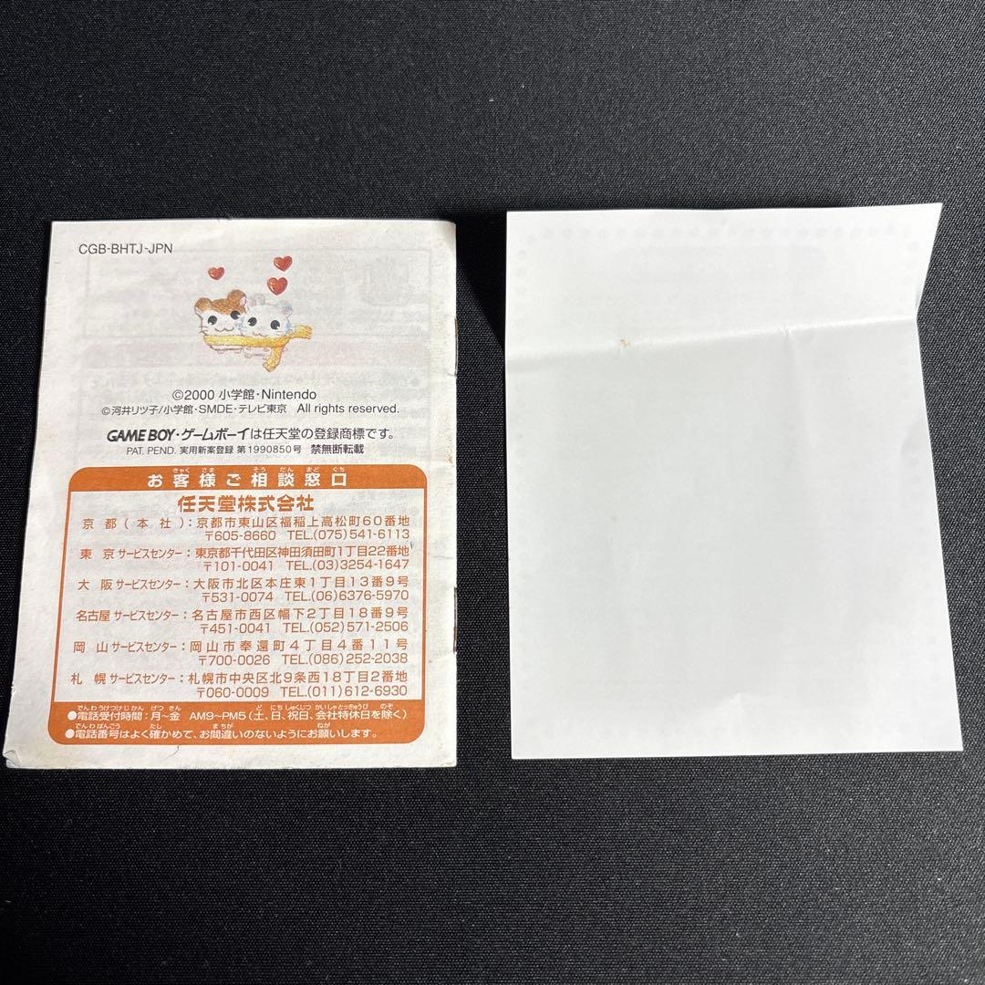 Totto Hamtaro 1 & 2 Game Boy Color Software Box & Manual + 2 Strategy Guide