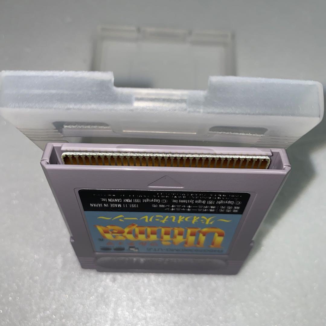 Genuine Ultimate - Lost Ruin - Game Boy Software