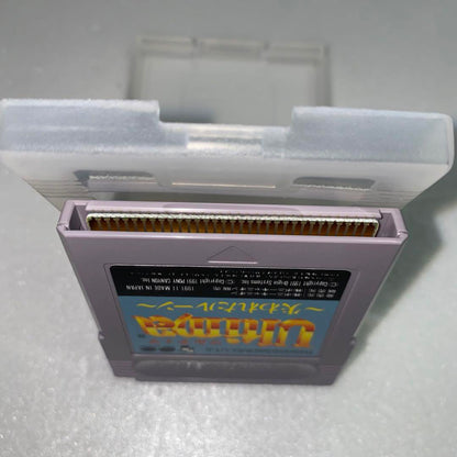 Genuine Ultimate - Lost Ruin - Game Boy Software