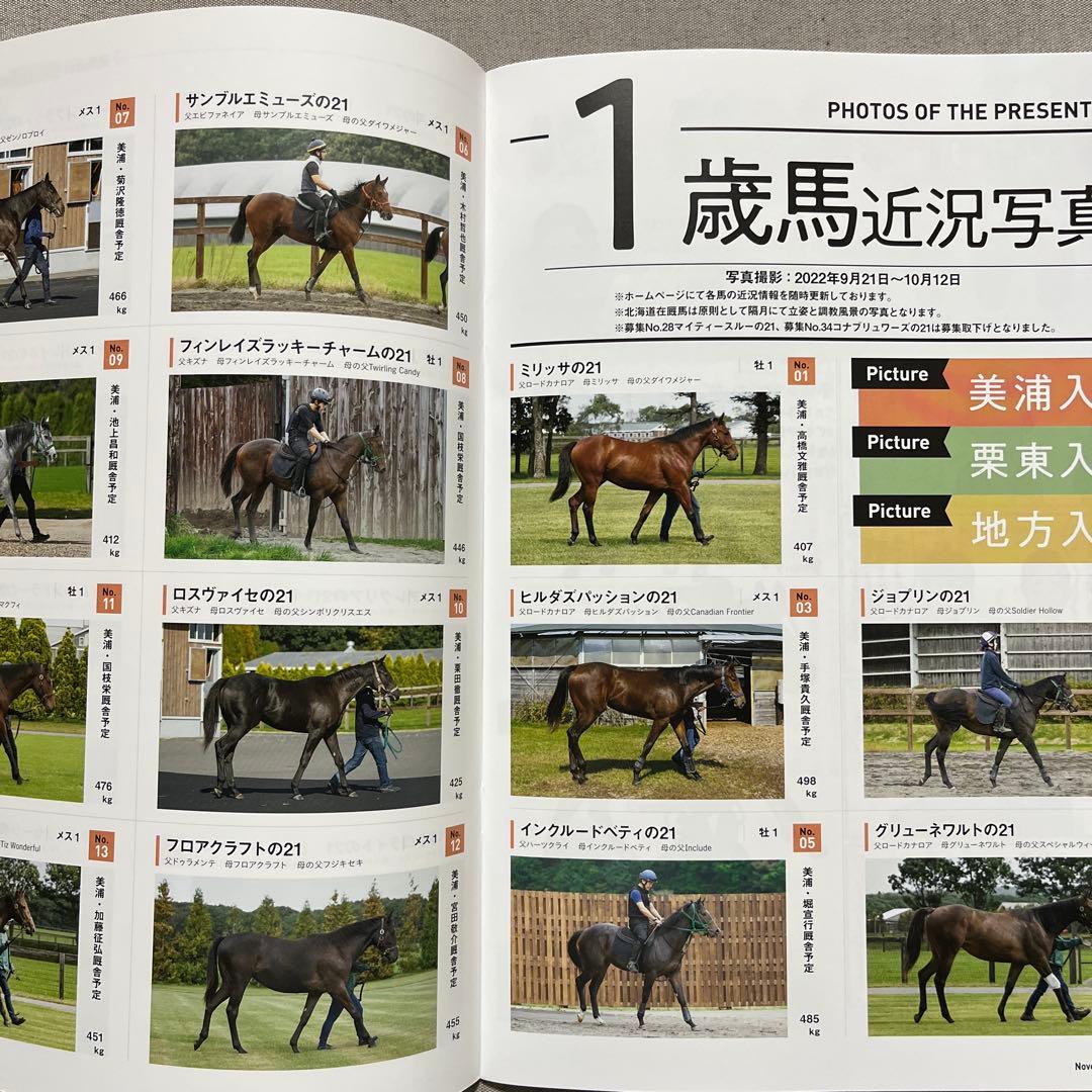 Carrot Club Newsletter ECLIPSE October 2022 - December 2022 3 Volumes