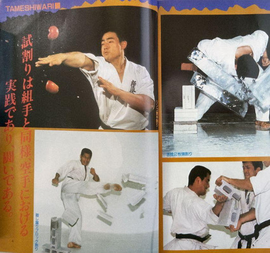 "Power Karate" Trial Offer