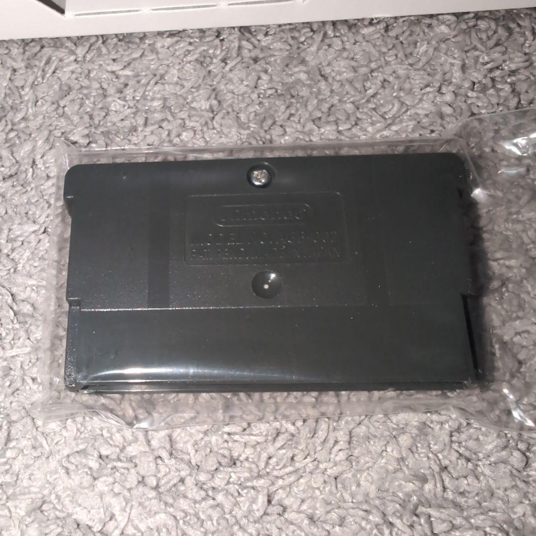 Thousand Year Family