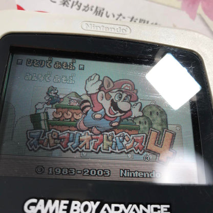 Game Boy Advance Game Boy Advance AGB-001 New Polarizing Plate Filter Replacement, Clear Image