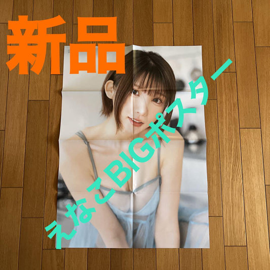 New Erika Posters ENTAME Magazine Bonus Poster
