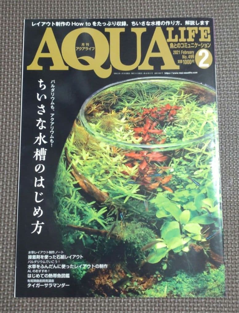 Monthly Aqua Life 3-Book Set (July 2016, August 2016, February 2021)
