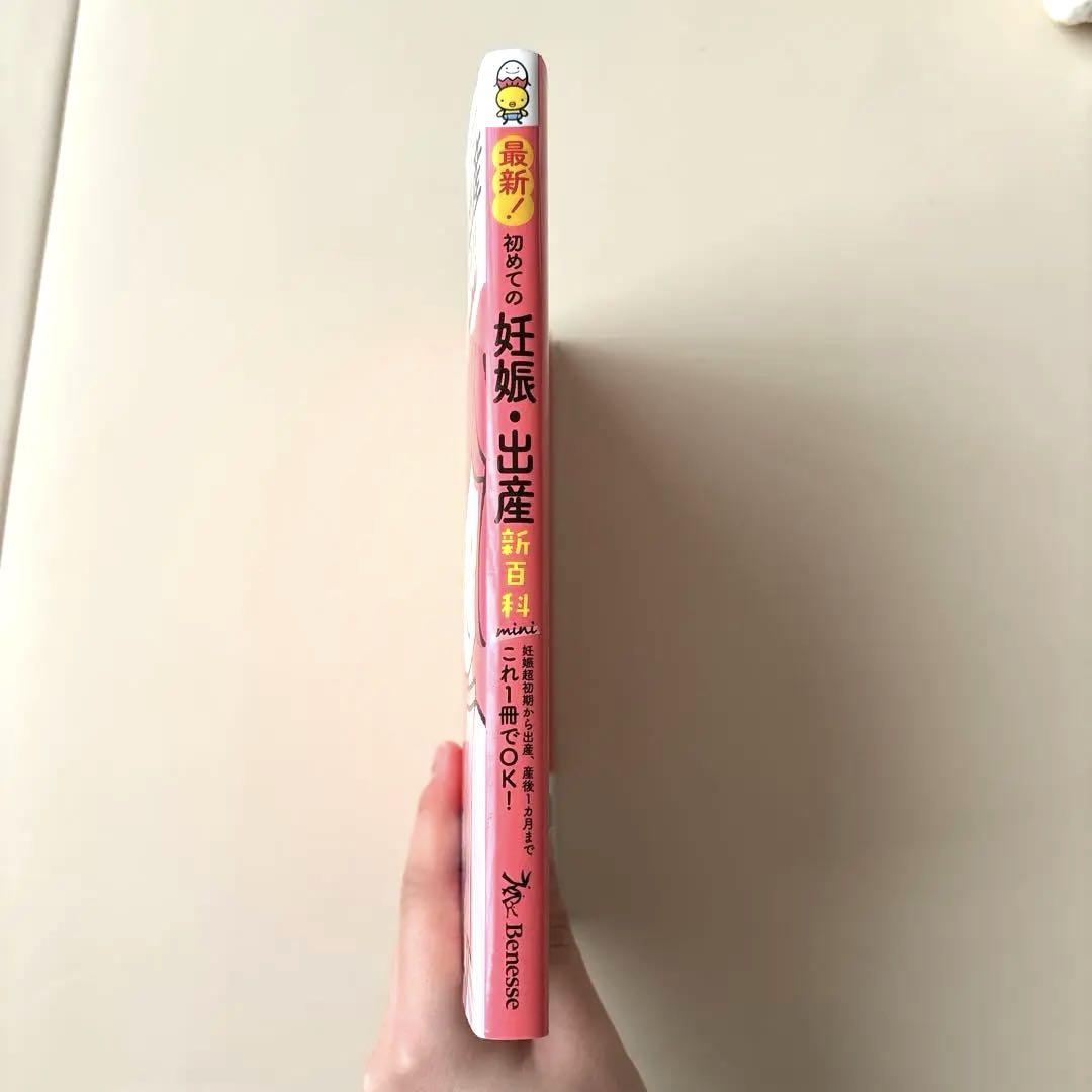 New First Pregnancy and Childbirth Monthly Mini