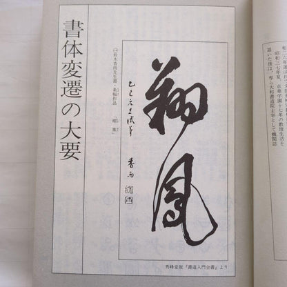 Last Price Down New Selection Five Character Dictionary Suzuki Kayu Written (Old Book)