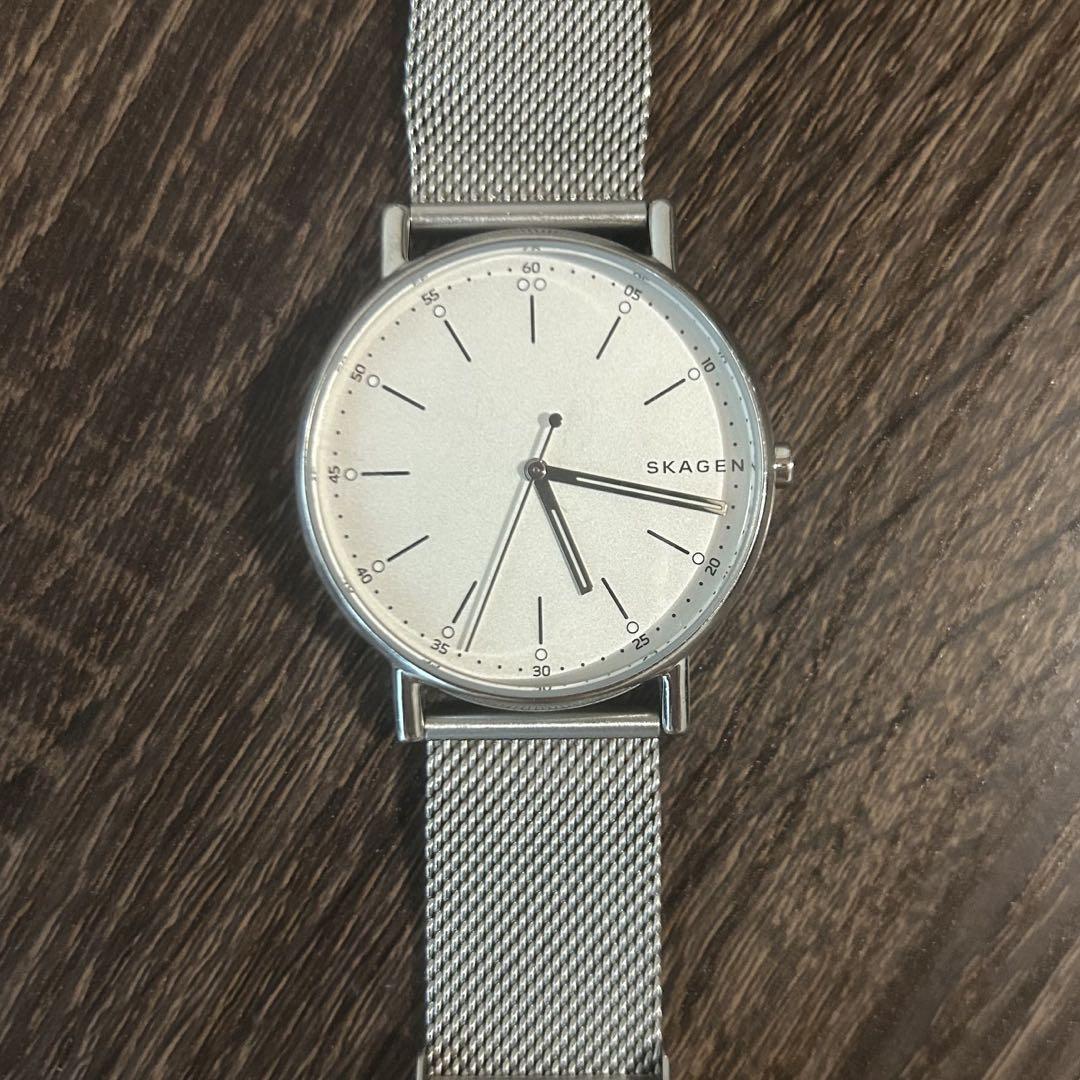 SKAGEN SKW6353 Band Replacement