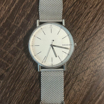 SKAGEN SKW6353 Band Replacement