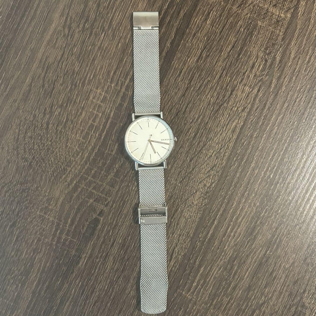 SKAGEN SKW6353 Band Replacement