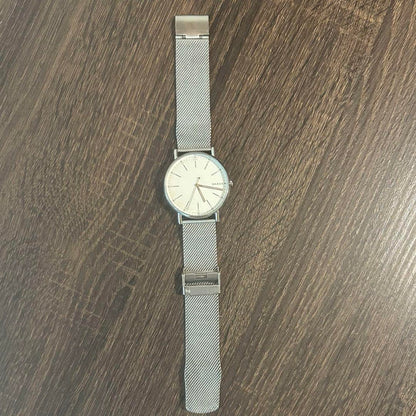 SKAGEN SKW6353 Band Replacement