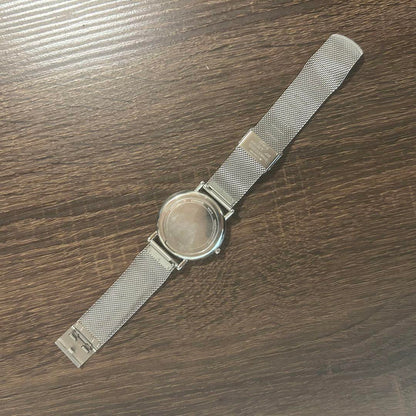 SKAGEN SKW6353 Band Replacement