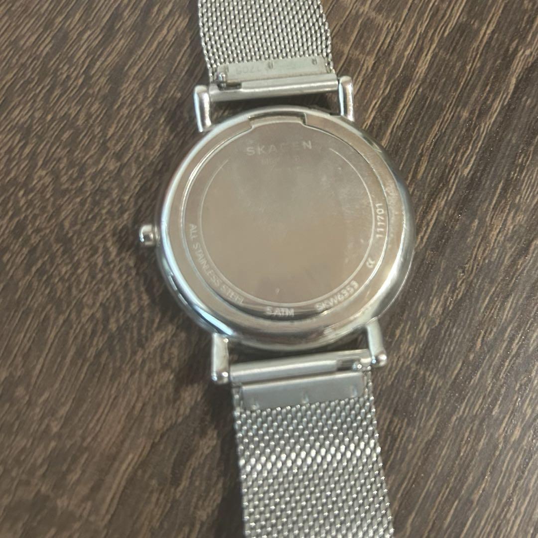 SKAGEN SKW6353 Band Replacement