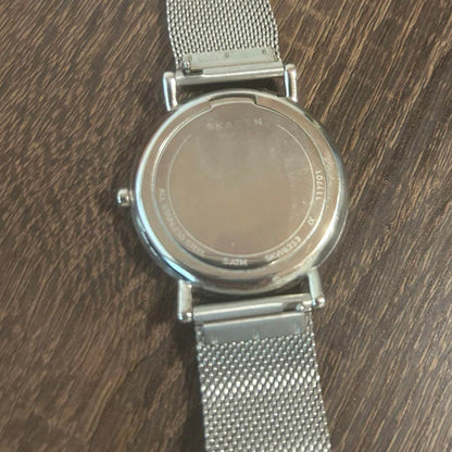 SKAGEN SKW6353 Band Replacement