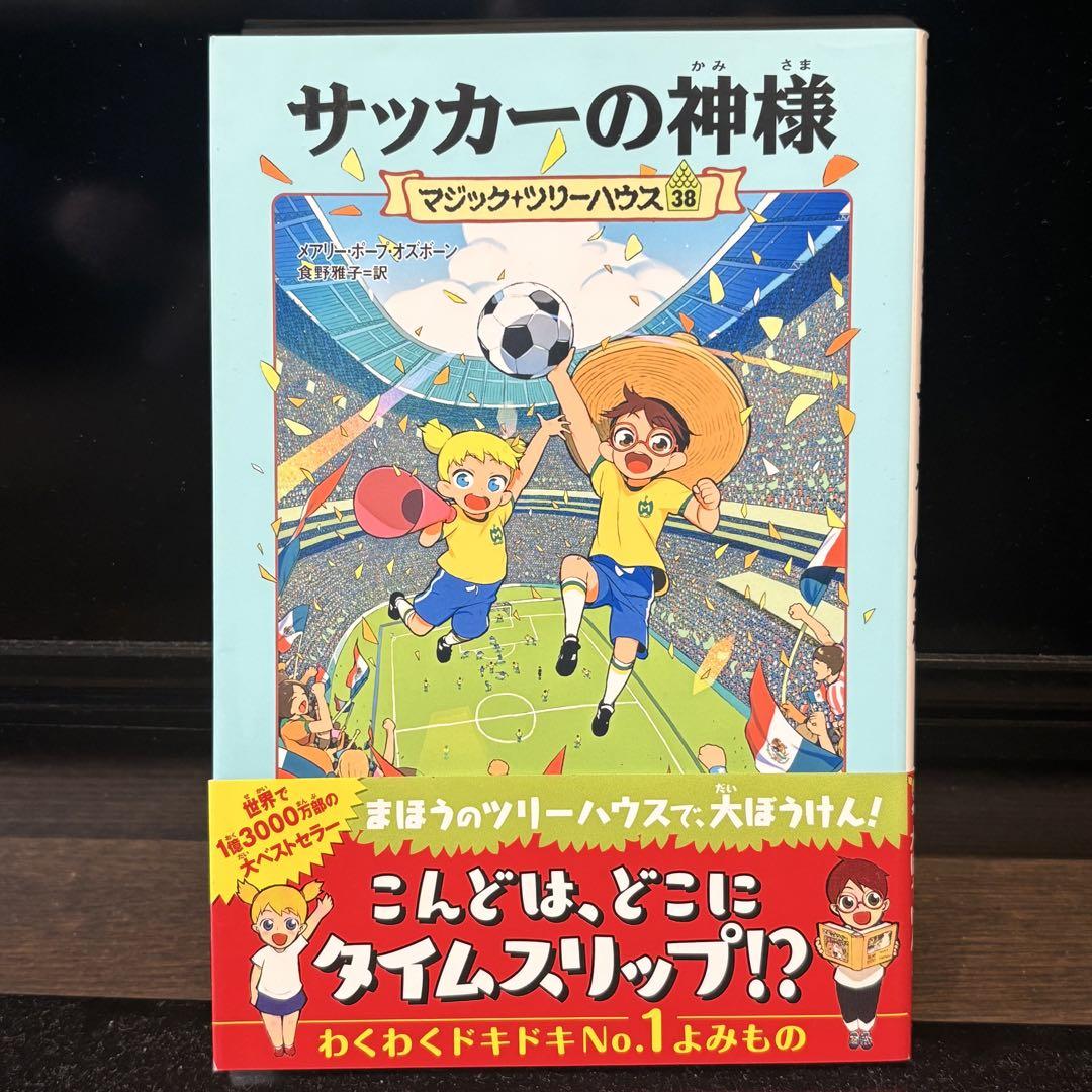 Magic Tree House Series 6 Books