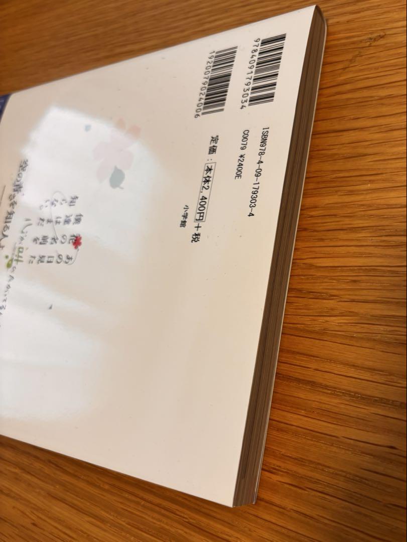 Those Flowers / This Shore / Blue Sky Memorial Book The Super Peace Busters' Trail