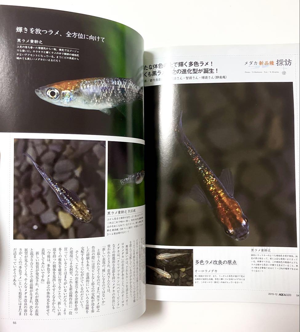 AQUA LIFE Monthly Aqua Life 2015 December Issue No.437
