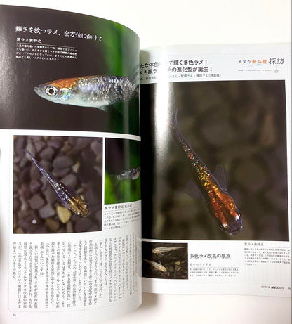 AQUA LIFE Monthly Aqua Life 2015 December Issue No.437