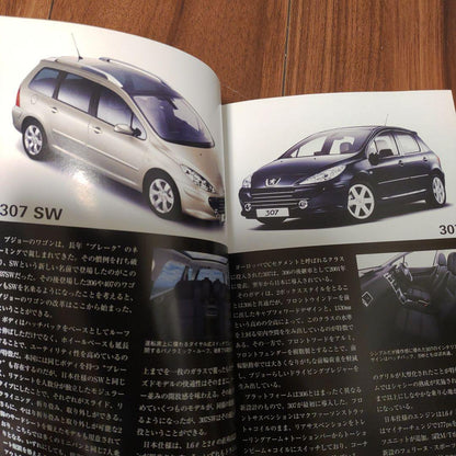 WORLD CAR GUIDE DX 13 PEUGEOT
