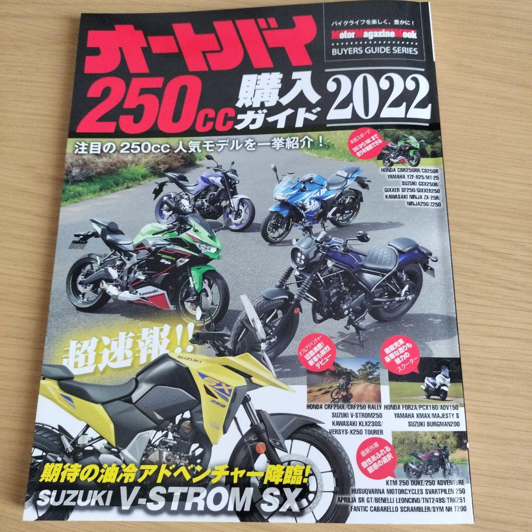 Motorcycle 250cc Buying Guide 2022