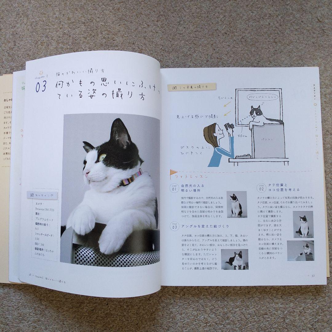 A Book for Taking Stylish Photos