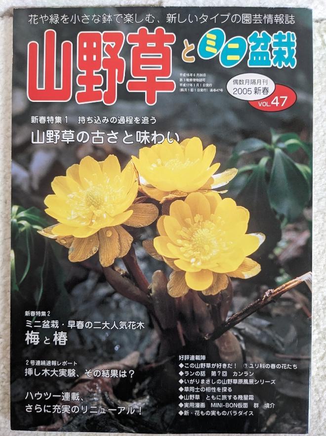 Wild Grasses and Miniature Potted Plants New Year's Issue 2005