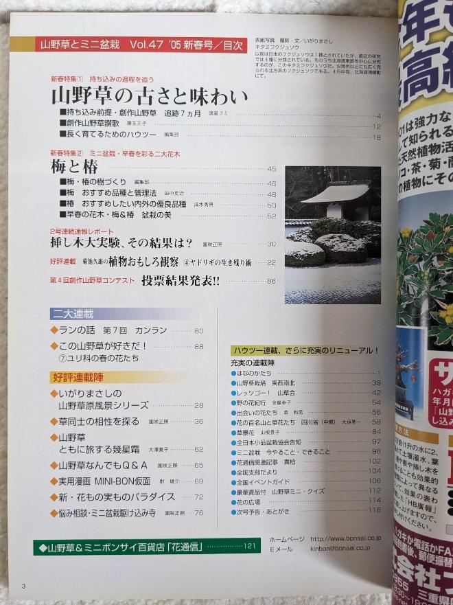 Wild Grasses and Miniature Potted Plants New Year's Issue 2005