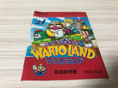 Wario Land & Super Mario Land 6 Gold Edition Instruction Manual Set