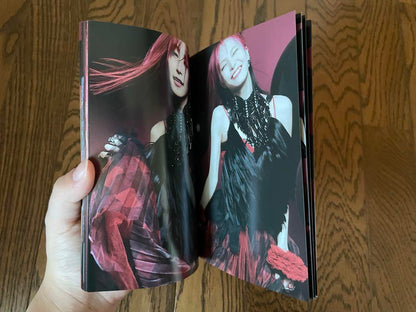 LiSA LADYBUG Complete Production Limited Edition Goods 10 Items