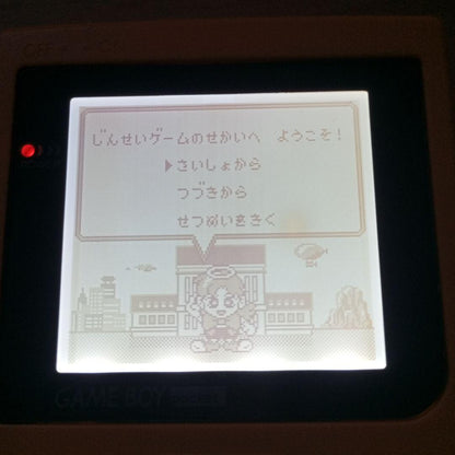 Game Boy Software Life Game  Software only