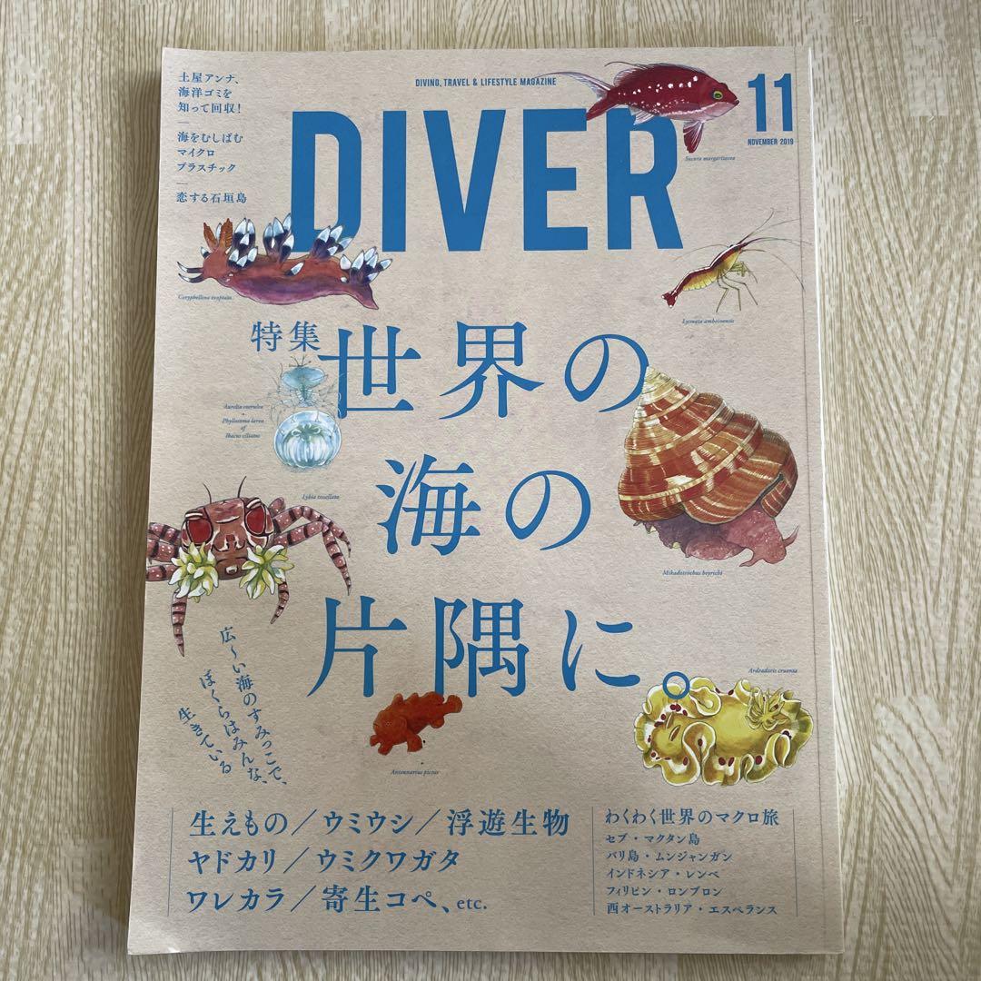 A World's Corner of the Sea