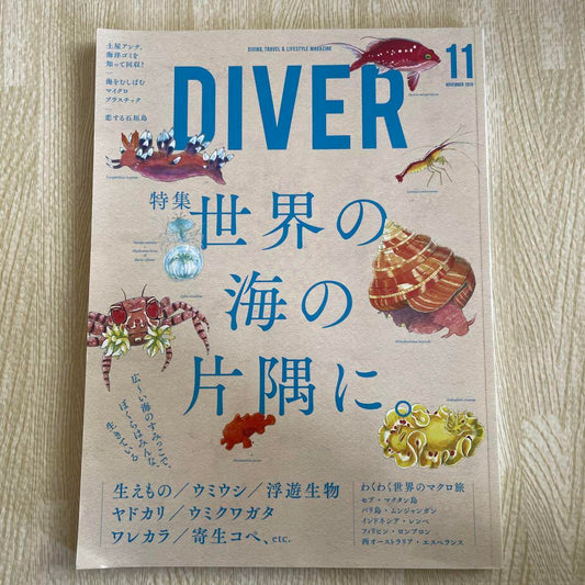 A World's Corner of the Sea