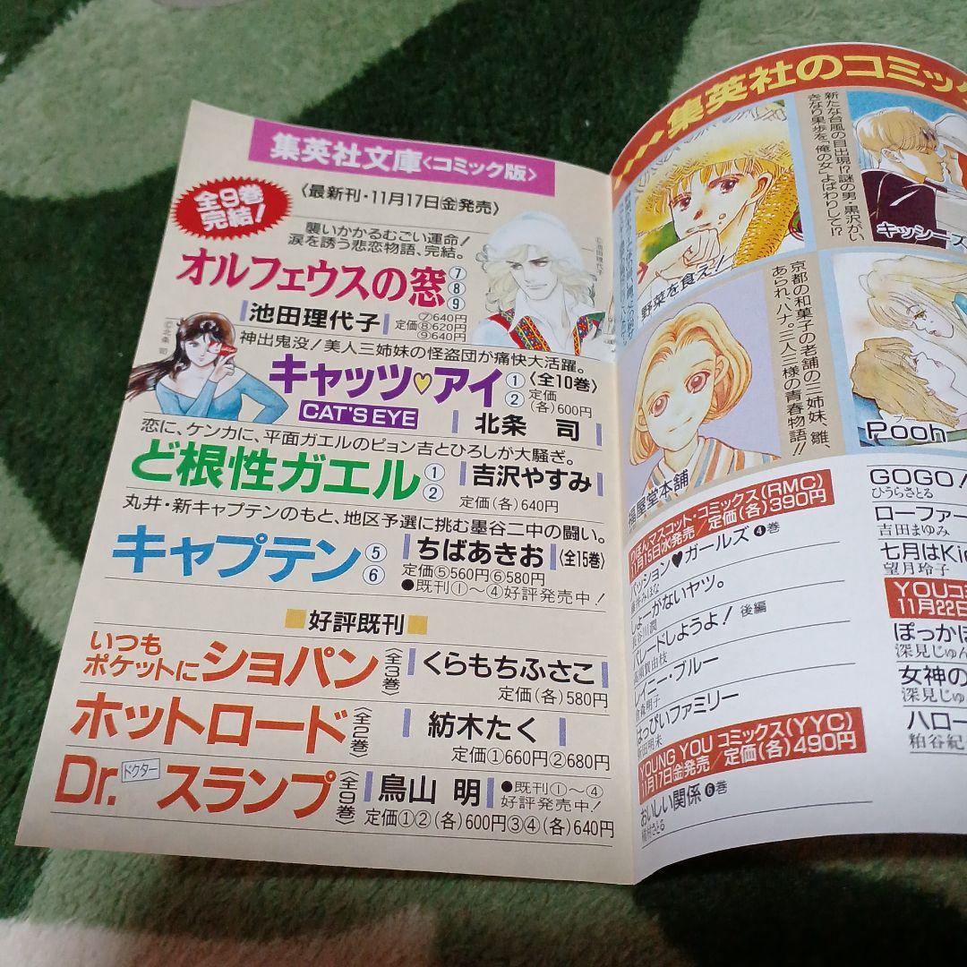 Boys Over Flowers, Volume 12 Shueisha Comic News