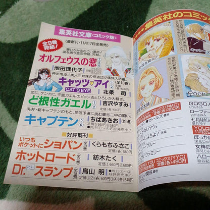 Boys Over Flowers, Volume 12 Shueisha Comic News