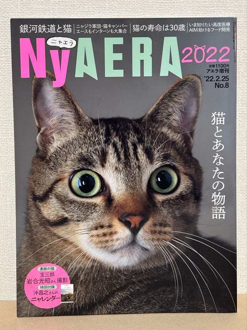 NyAERA 2022 AERA Special Issue