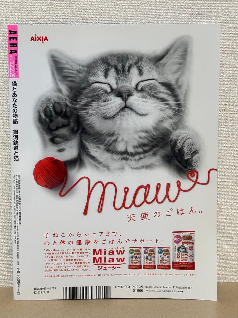 NyAERA 2022 AERA Special Issue