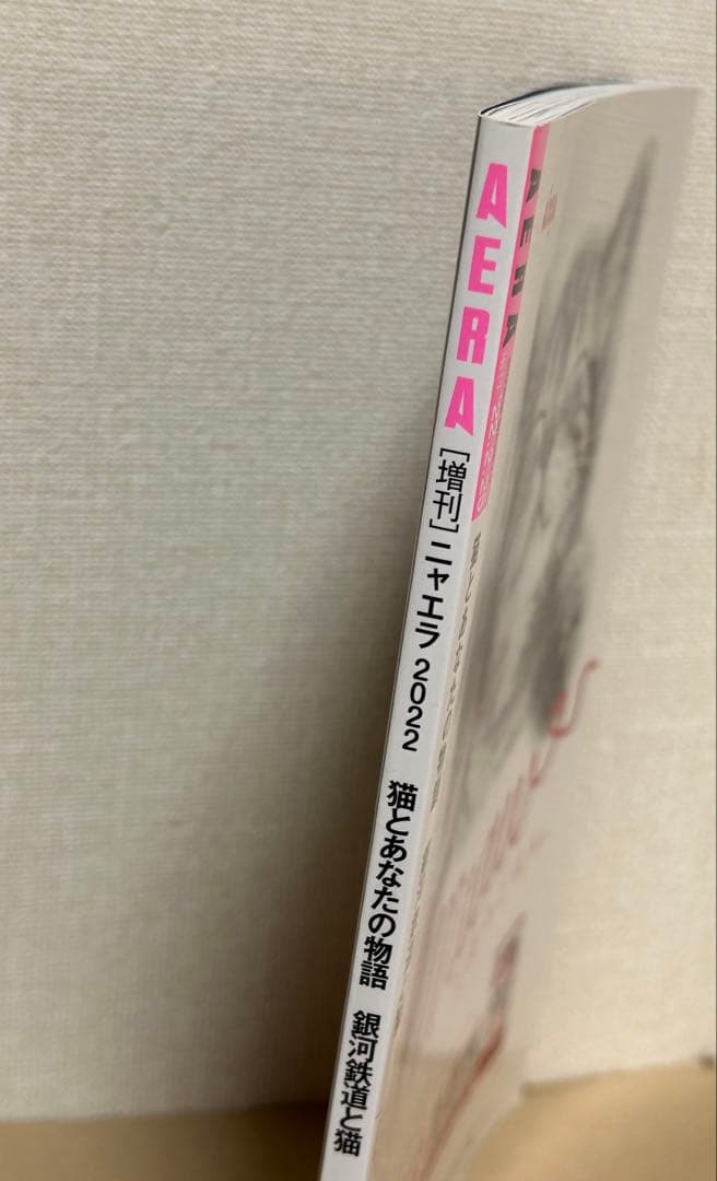 NyAERA 2022 AERA Special Issue