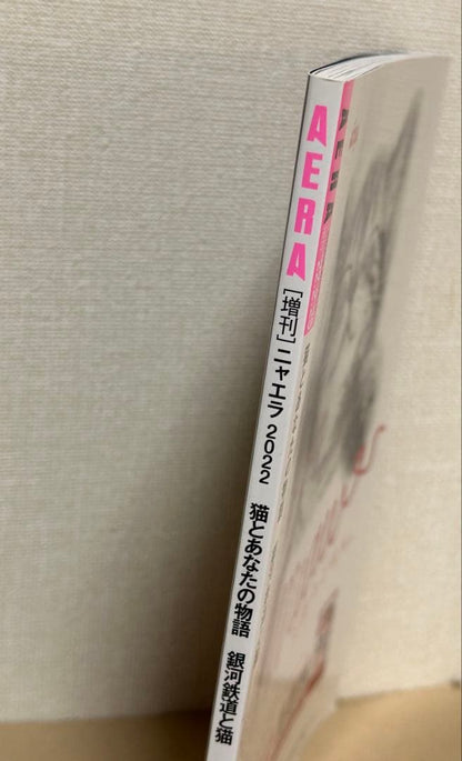 NyAERA 2022 AERA Special Issue