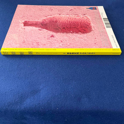 Arts and Culture Trends July 2017 Special Feature: The Bizarre and Extraordinary Artichobol