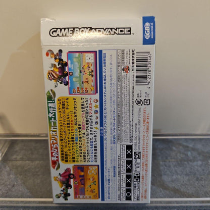 Rare Condition Game Boy Advance Software 2-For-1 Set