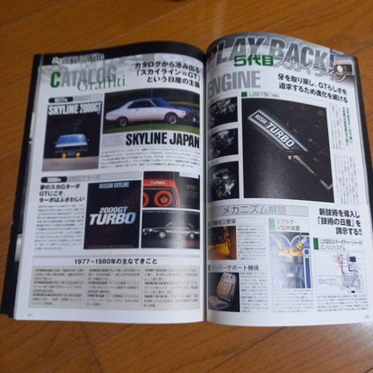 50th Anniversary of the Skyline File