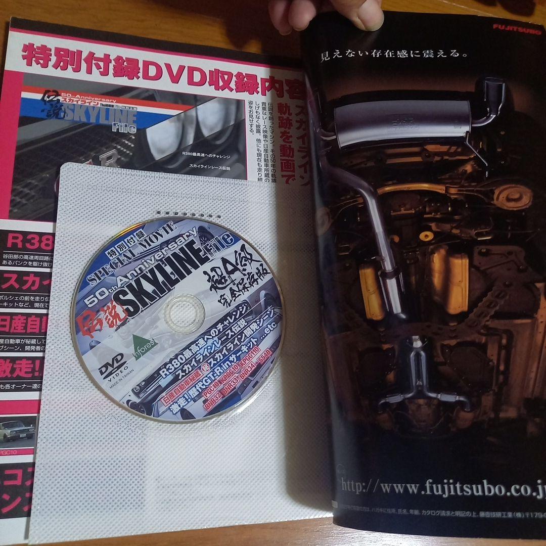 50th Anniversary of the Skyline File