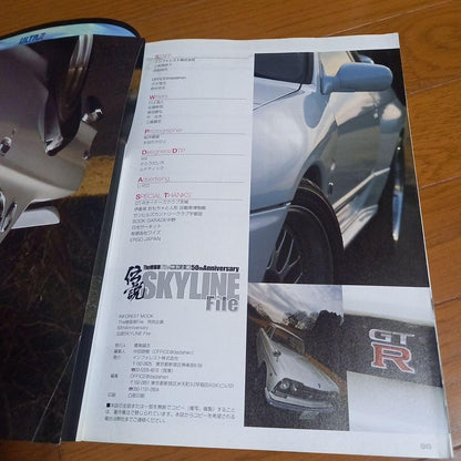 50th Anniversary of the Skyline File