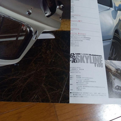 50th Anniversary of the Skyline File