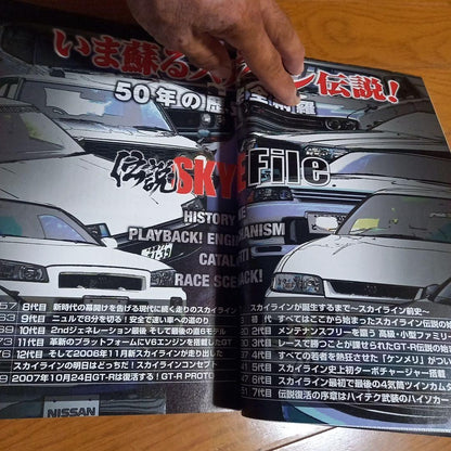 50th Anniversary of the Skyline File