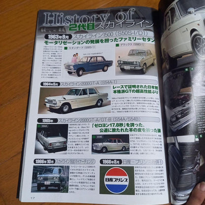 50th Anniversary of the Skyline File