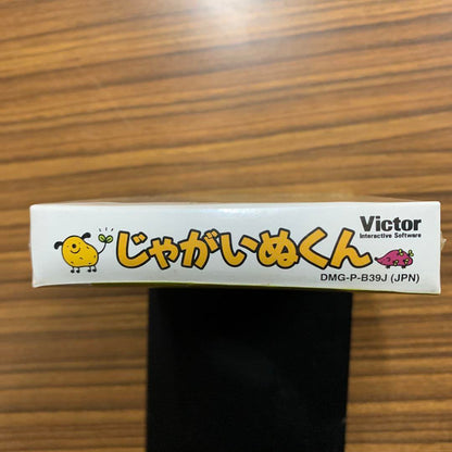 Pikachu Game Boy Color