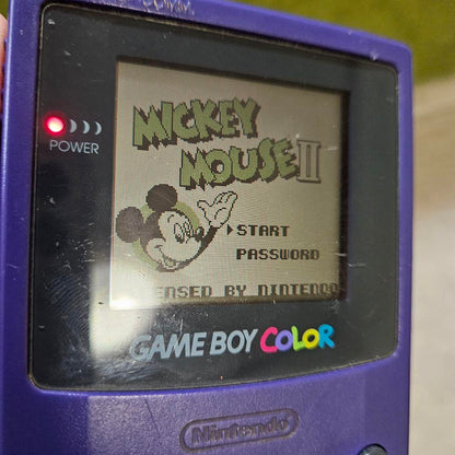 GB Mickey Mouse II Muscle Ranking GB Hamtaro Paradise