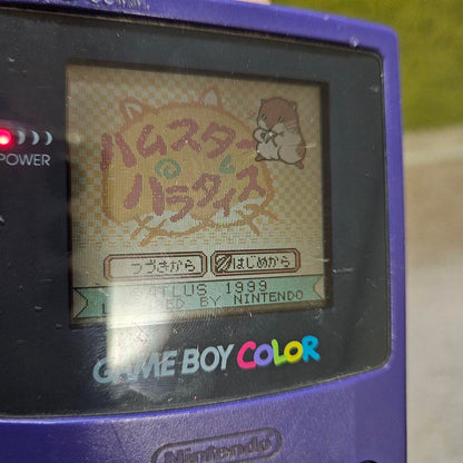 GB Mickey Mouse II Muscle Ranking GB Hamtaro Paradise